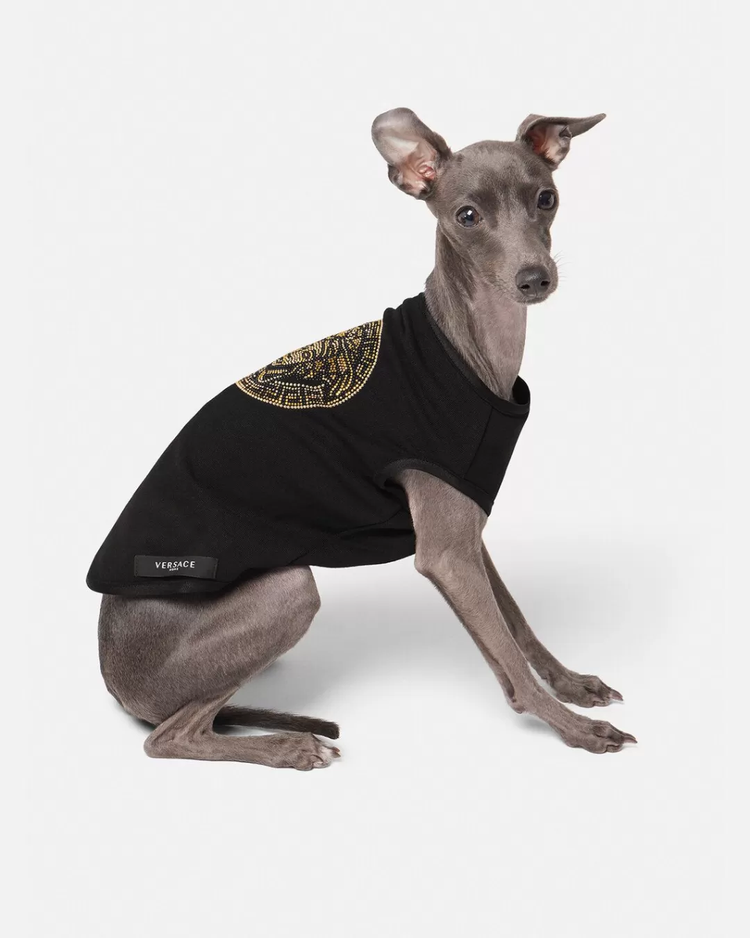 Crystal Medusa Small Pet T-Shirt*Versace Sale