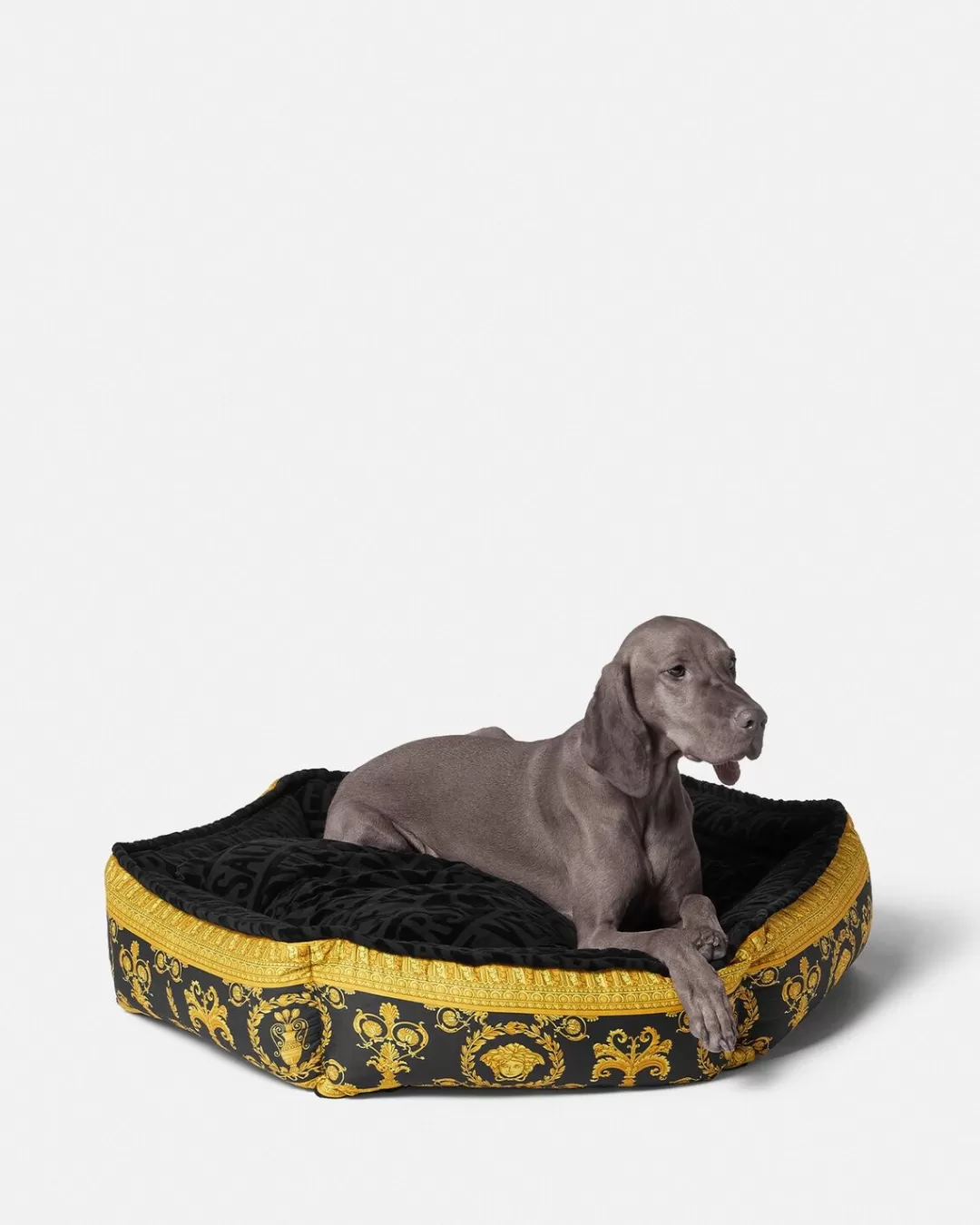 I Baroque Large Pet Bed*Versace Cheap