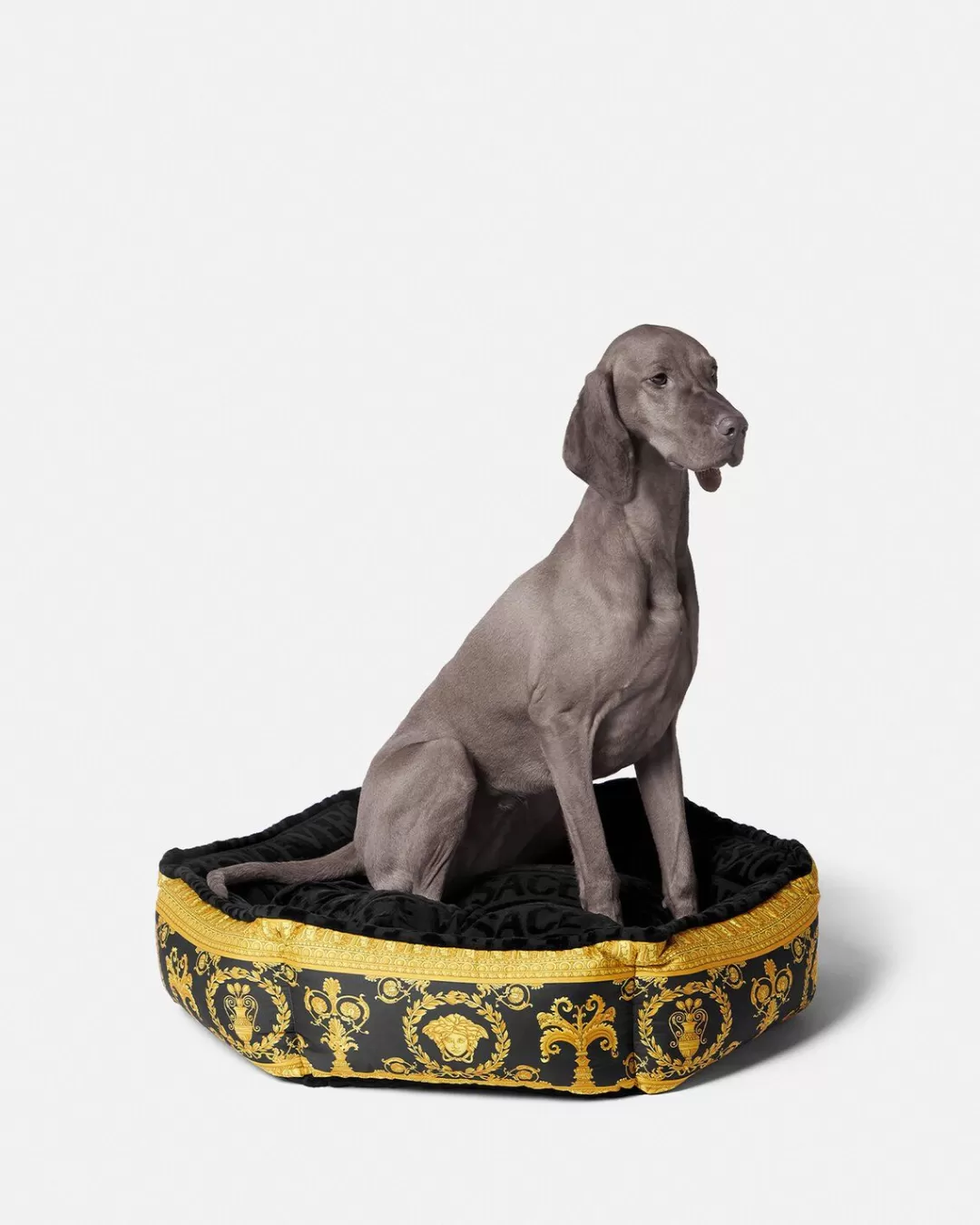 I Baroque Pet Bed*Versace Cheap