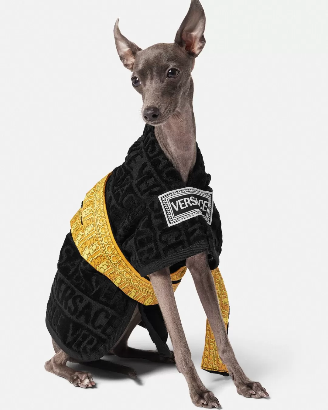 I Baroque Small Pet Bathrobe*Versace Hot