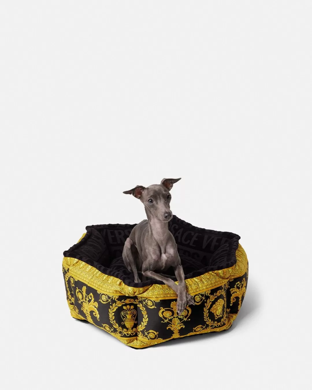 I Baroque Small Pet Bed*Versace Flash Sale