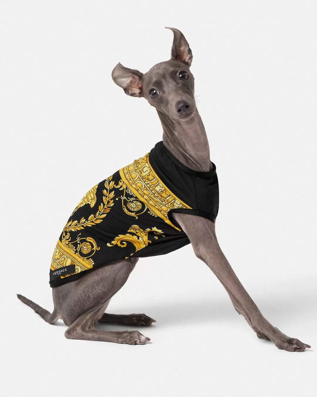 I Baroque Small Pet T-Shirt*Versace Cheap