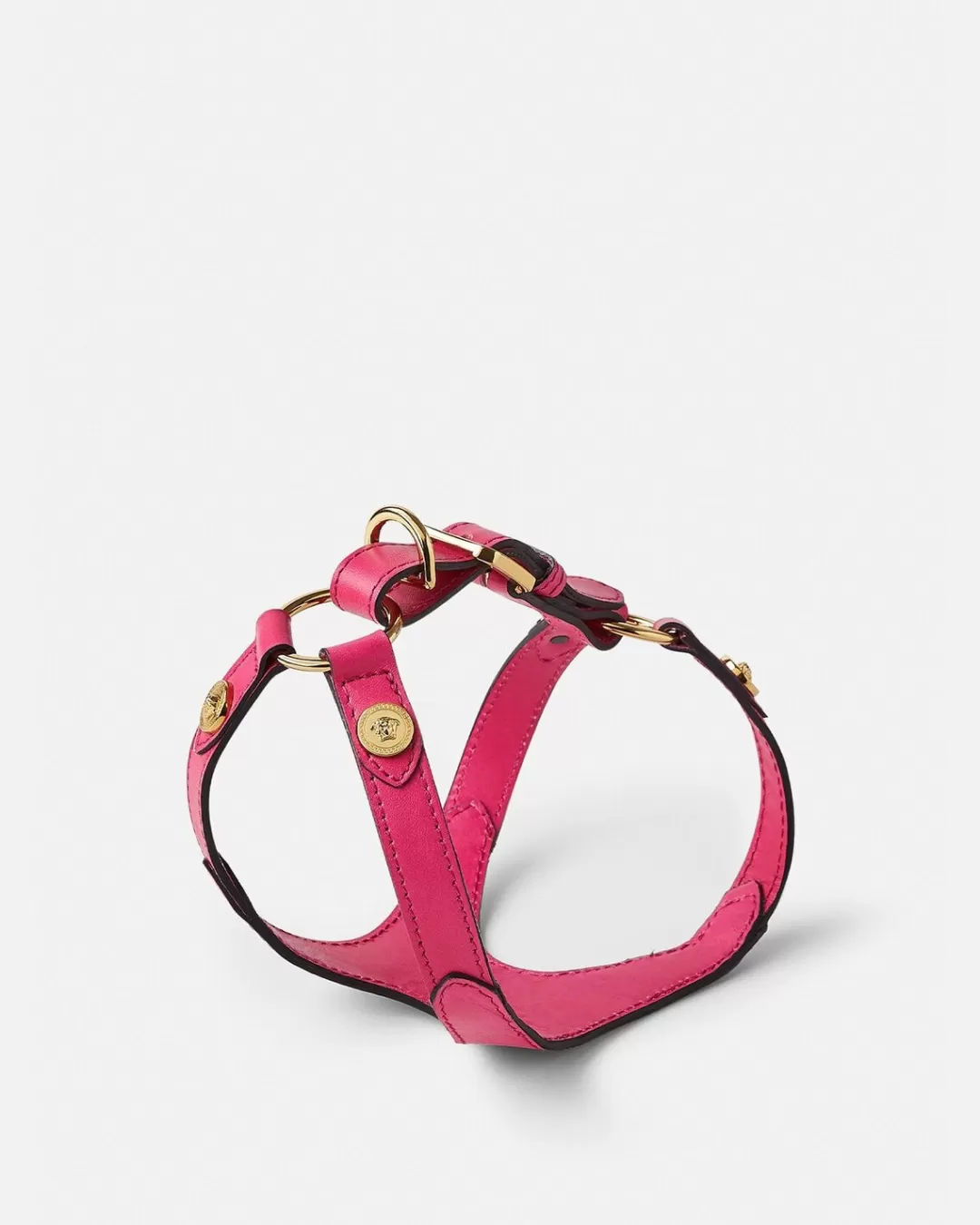 Icon Small Pet Harness*Versace Best Sale